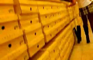 XXX Estudante Sexy com grandes Mamas Naturais vídeo pornô na fazenda