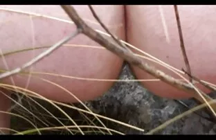 XXX Pés adorando homens fazendo um porno brasileira suculento desempenho 69